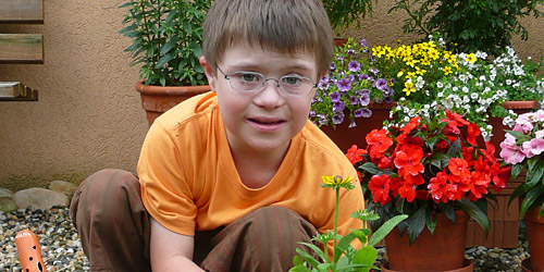 Un garçonnet rempote une plante dans le jardin