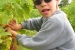 dscn0009