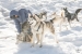 20250308-09_StudioMartine-3