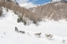 20250308-09_StudioMartine-53